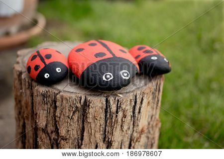 Handmade painted acrylic stone ladybugs in garden