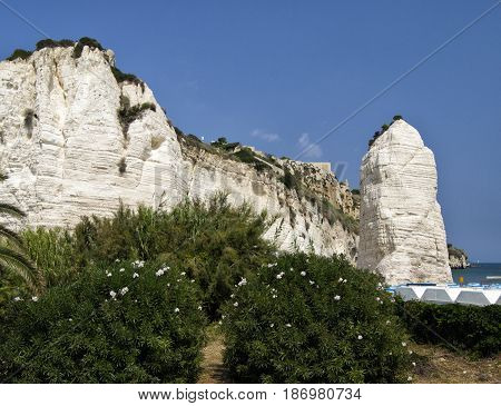 Vieste Pizzommunno monolite, white rock and shores
