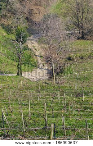Winter landscape from the road to Montevecchia (Lecco Brianza Lombardy Italy)