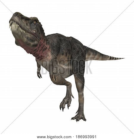 3D Rendering Dinosaur Tarbosaurus On White