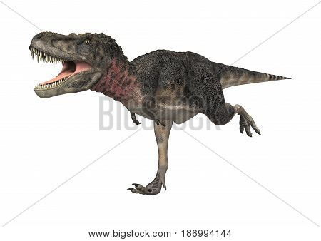 3D Rendering Dinosaur Tarbosaurus On White
