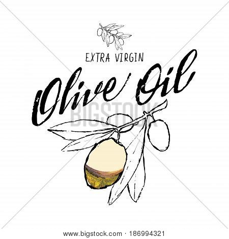 Set of hand drawn vector illustration and lettering olive oil olive branch and bottle for olive oil labels restaurant natural products. perfect stickers and badges for your business