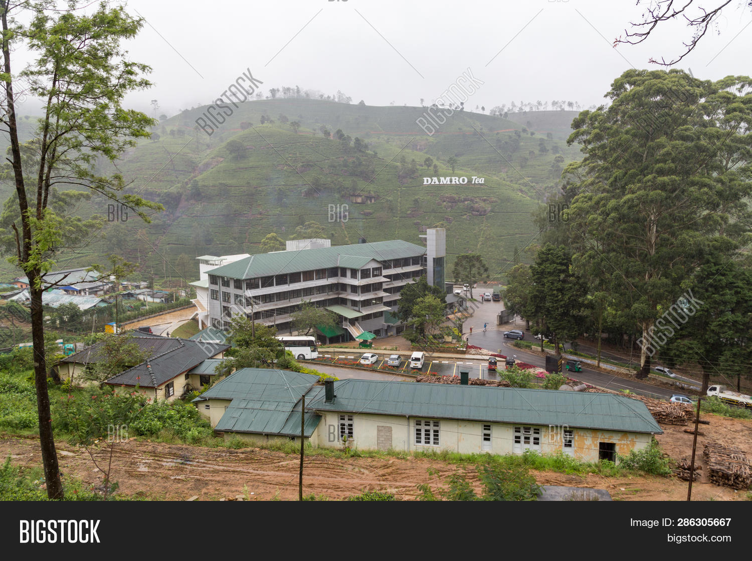 Damro tea. Damro tea. отель нувара элия the tea garden. Damro labookellie. Damro tea шри ланка.