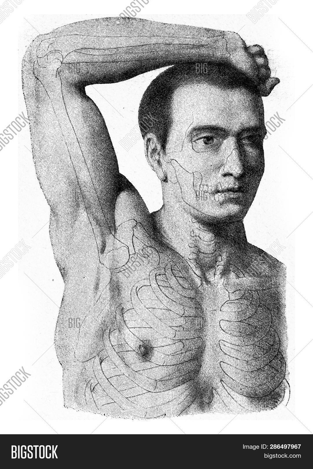 Muscles Arm Man Hand Image & Photo (Free Trial) Bigstock