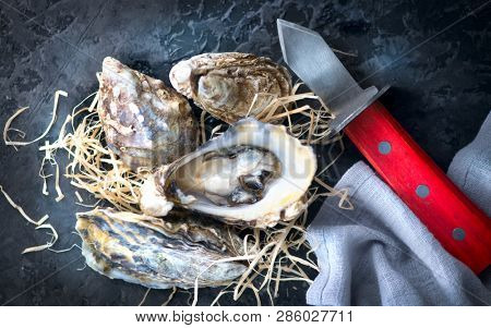 Fresh Oysters close-up with knife, served table with oysters. Healthy sea food. Oyster dinner in restaurant. Gourmet food.