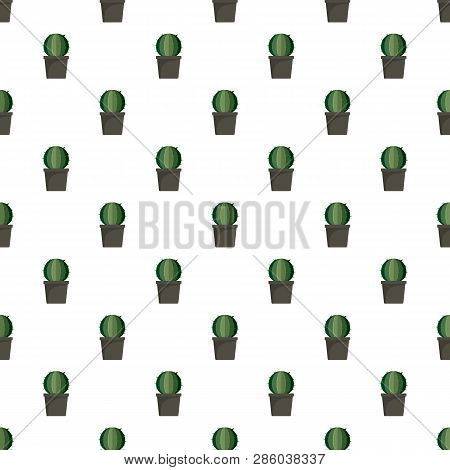 Sphera Cactus Pot Pattern Seamless Vector Repeat For Any Web Design