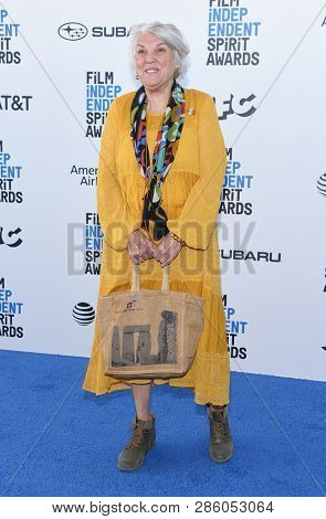 LOS ANGELES - FEB 23:  Tyne Daly arrives for the 2019 Film Independent Spirit Awards on February 23, 2019 in Santa Monica, CA                