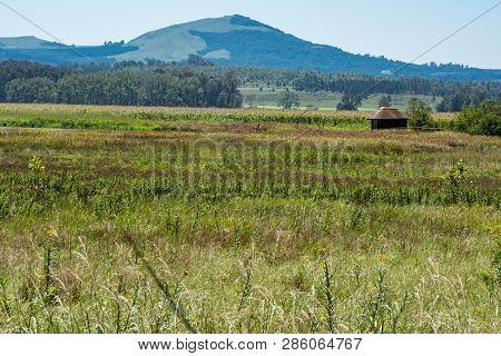 Howick, South Africa - February 22, 2019: A Bird Hide Amongst Reeds Next To A Lake In The Natal Midl