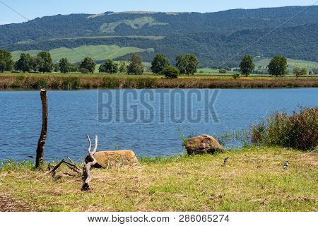 A Popular Bird Watching Lake And Background Scenery In The Natal Midlands, South Africa.