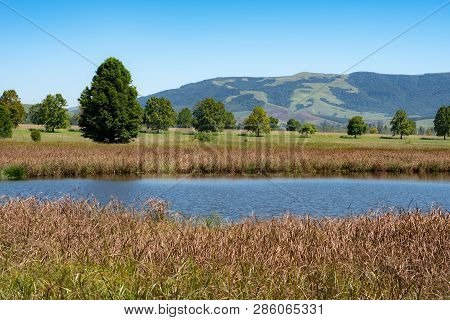 A Popular Bird Watching Lake And Background Scenery In The Natal Midlands, South Africa.