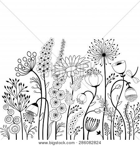 Abstract Flowers And Butterfly In Black And White