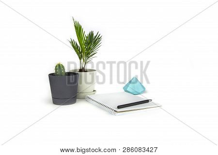 Business Desk Mock Up Office Supplies. Workspace  Table With Notebook, Pen, Houseplants Small Green 