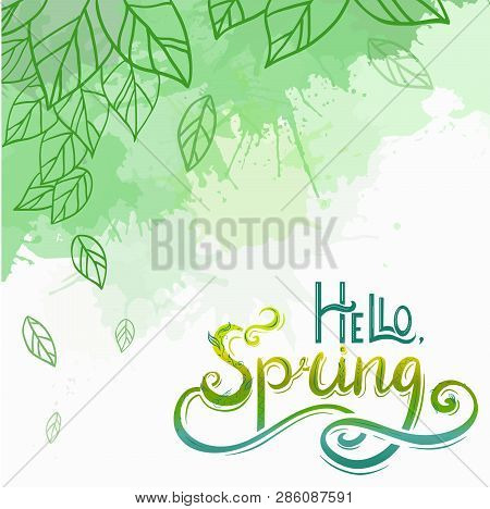 Spring Vector Card With Handwritten Lettering Hello, Spring With Decoration And Doodle Leaves And Gr