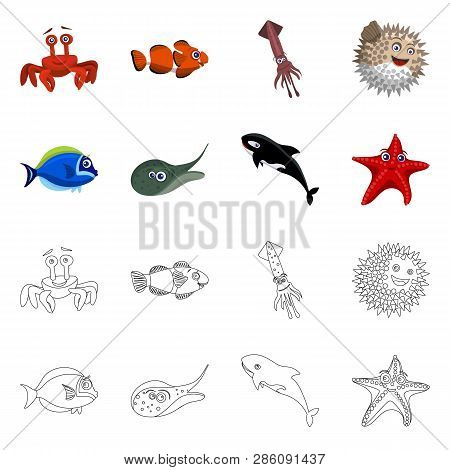 Isolated Object Of Sea And Animal Icon. Collection Of Sea And Marine Stock Vector Illustration.