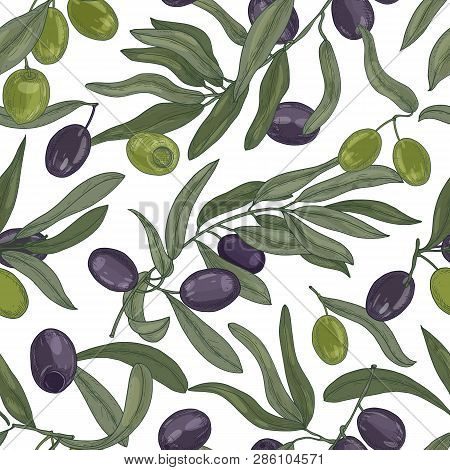 Natural Seamless Pattern With Olive Tree Branches, Leaves, Black And Green Ripe Fruits Or Drupes On 