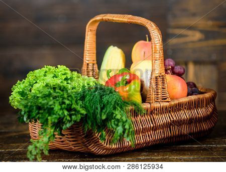 Delivery Service Fresh Vegetables From Farm. Buy Fresh Homegrown Vegetables. Excellent Quality Veget