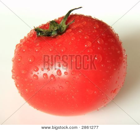 Pomidor