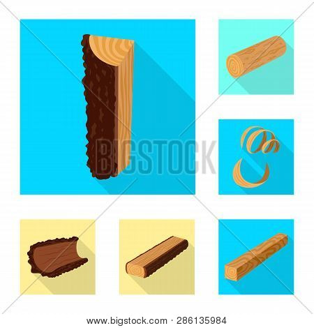 Vector Illustration Of Material And Nature  Icon. Set Of Material And Raw  Stock Vector Illustration