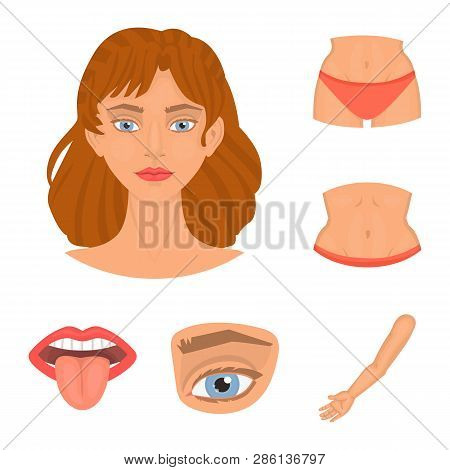 Vector Design Of Body And Part Icon. Set Of Body And Anatomy Stock Vector Illustration.
