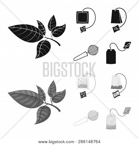 Vector Illustration Of Healthy And Floral  Symbol. Set Of Healthy And Gradient Vector Icon For Stock
