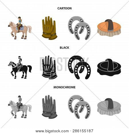 Isolated Object Of Equipment And Riding Icon. Set Of Equipment And Competition Stock Vector Illustra