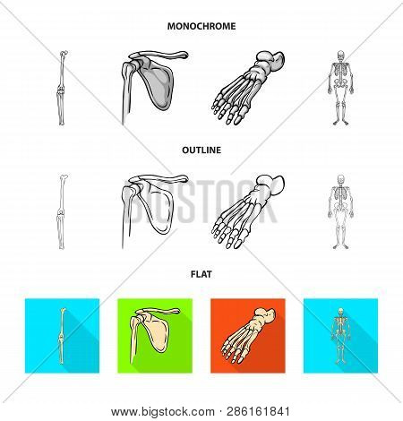 Vector Design Of Medicine And Clinic Icon. Set Of Medicine And Medical Stock Vector Illustration.