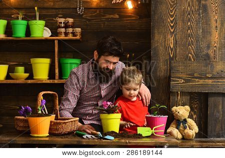 Father And Son. Happy Gardeners With Spring Flowers. Flower Care Watering. Soil Fertilizers. Bearded