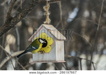 A Small Yellow Tit Sits On A Yellow Bird And Squirrel Feeder House From Plywood In The Park