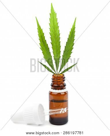 Cbd Cannabis Oil With Dropper, Green Hemp Leaf In Bottle. Marijuana Products Isolated White Backgrou