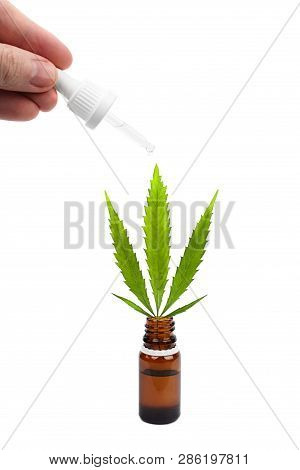 Cbd Oil Dropper In Hand, Green Hemp Leaf In Bottle. Medical Marijuana Concept. Medical Cannabis Prod