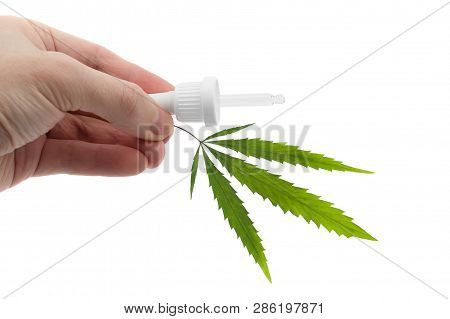 Dropper With Cbd Cannabis Oil And Green Hemp Leaf In Hand Isolated On White. Medical Marijuana Conce