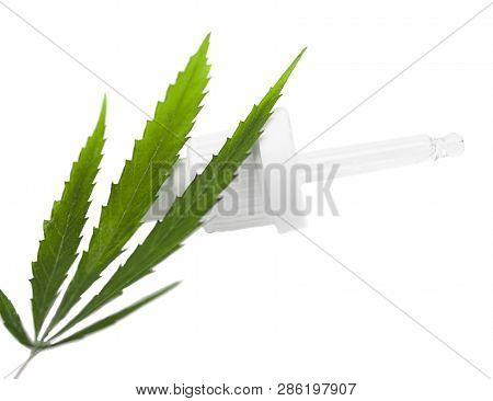 Dropper With Cbd Oil Cannabis Isolated. Green Hemp Leaf. Medical Marijuana Concept