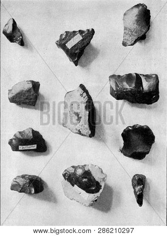 Fragment of flint from Tertiary posterior layers near Aurillae, vintage photo. From the Universe and Humanity, 1910.
