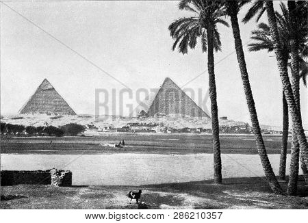 The banks of the Nile in Lower Egypt, vintage engraved illustration. From the Universe and Humanity, 1910.
