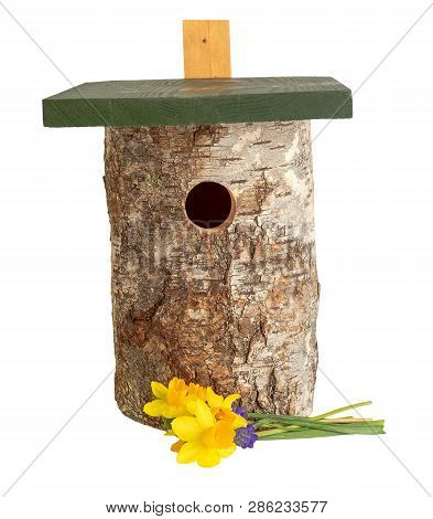 Wild Bird House Tit Nestbox Isolated On White Background