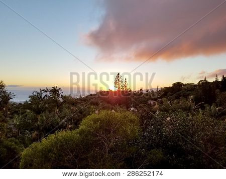 Sunset Behind The Tantalus Mountain Past Tropical Silhouette Of Trees Through The Clouds Over The Oc