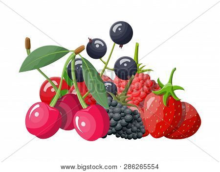 Berry Icon Set. Cranberry, Black Currant, Backberry, Blueberry, Red Currant, Raspberry, Strawberry A