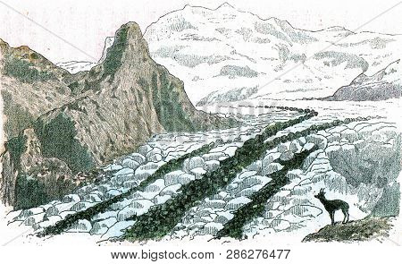 The Pink Mountain Glacier, in the Alps, and its three moraines, vintage engraved illustration. From Natural Creation and Living Beings.