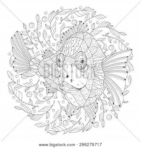 Hand Drawn Aquarium Fish With Algae On A White Background. Image For Coloring Pages. Vector Illustra