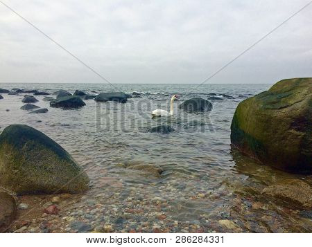 Sail Beach Yacht Sea Sand Baltic Diving Waves Boat