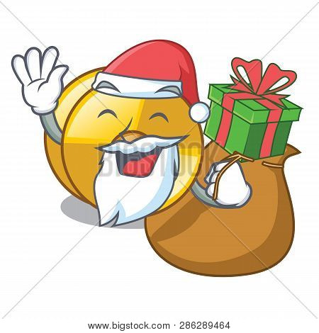 Santa With Gift Cyamblas Miniature In The Cartoon Shape