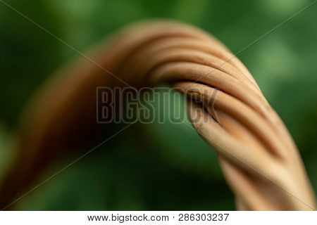 Wicker Basket. Wooden Basket. Rattan Basket. Detail Of A Rattan Basket. Wicker Surface.