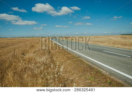 Road Through Rural Landscape Near The Monfrague National Park