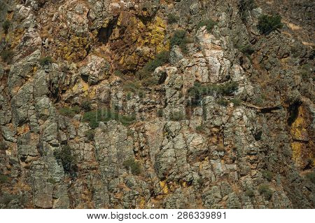 Close-up Of Rocky Cliffs With Bushes In A Sunny Day At The Monfrague National Park. A Remarkable Pla