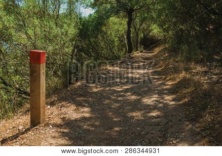 Wooden Pole Next To A Dirt Trail To Mark The Right Path