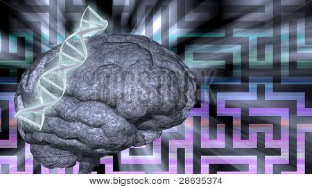 Puzzle di cervello abd del DNA