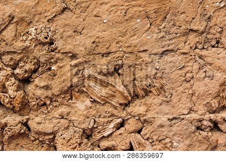 Vintage Arabic Mud Wall In The Desert Made With Beach Rocks And Coral Stones