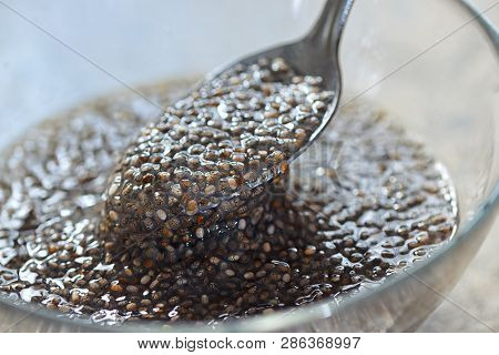 Spoon Of Chia Seed In Water, Close Up