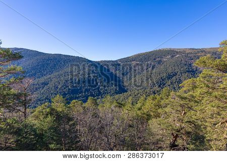 Beautiful Landscape With Blue Sky, Green Pine Tree Forest In Mountains Of Fuenfria Valley, In Natura