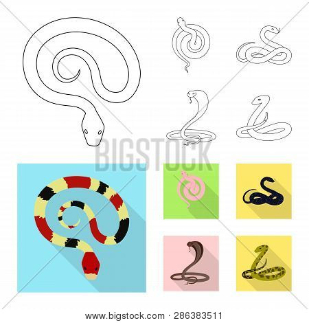 Vector Design Of Mammal And Danger Sign. Collection Of Mammal And Medicine Stock Vector Illustration